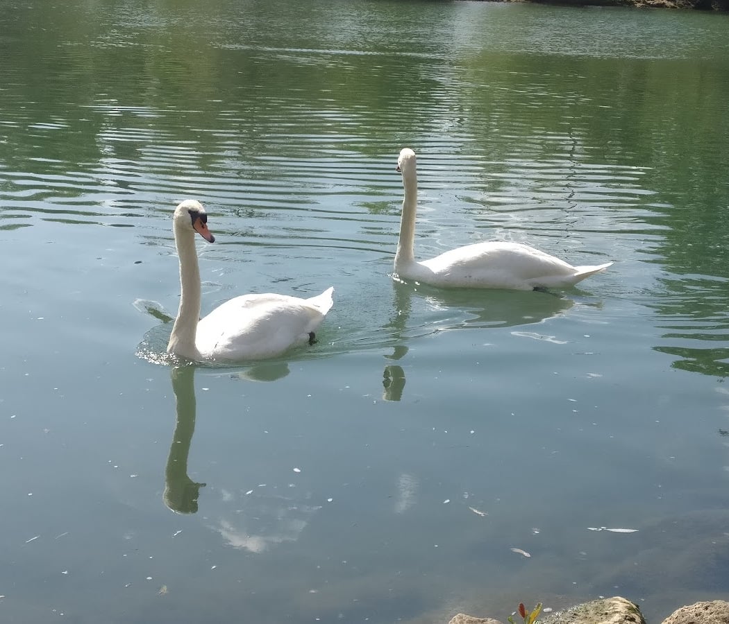 Aire De Jeux Des Bords De Marne 1